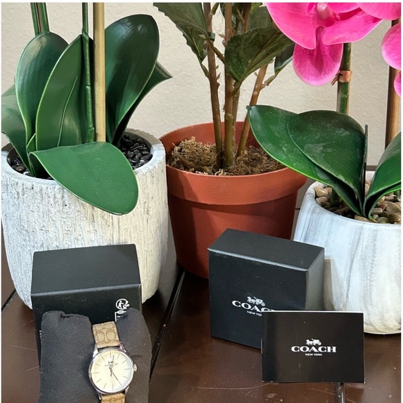 Coach Watch - Picture 13 of 13